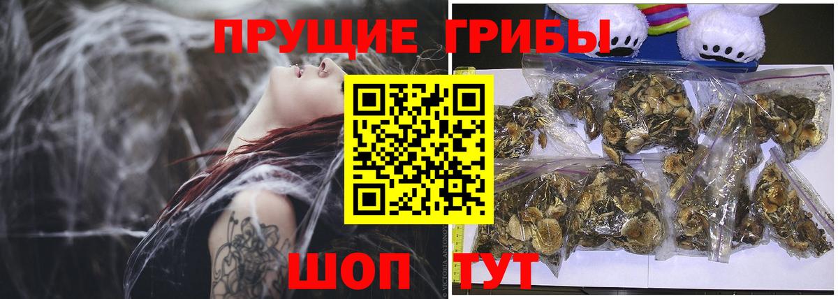Псилоцибиновые грибы мицелий Назрань